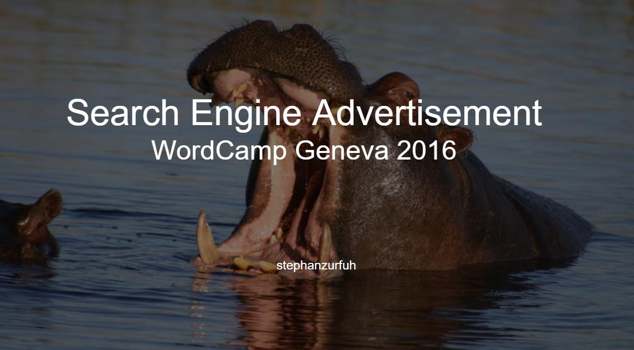 SEA – Best Practise – Workshop am WordCamp